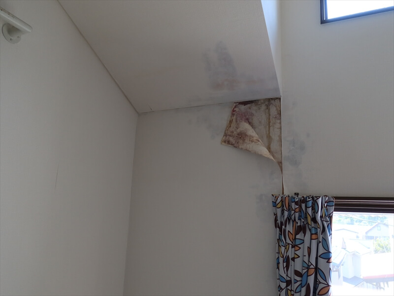 2階の雨漏り跡。壁紙の下にカビが見えています。